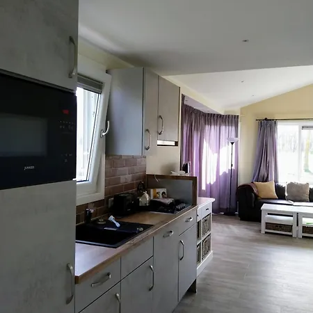 Landgut Voigtsmühle Glamping Lodge Villa Veranda XL 1 Friedland  Zimmer foto