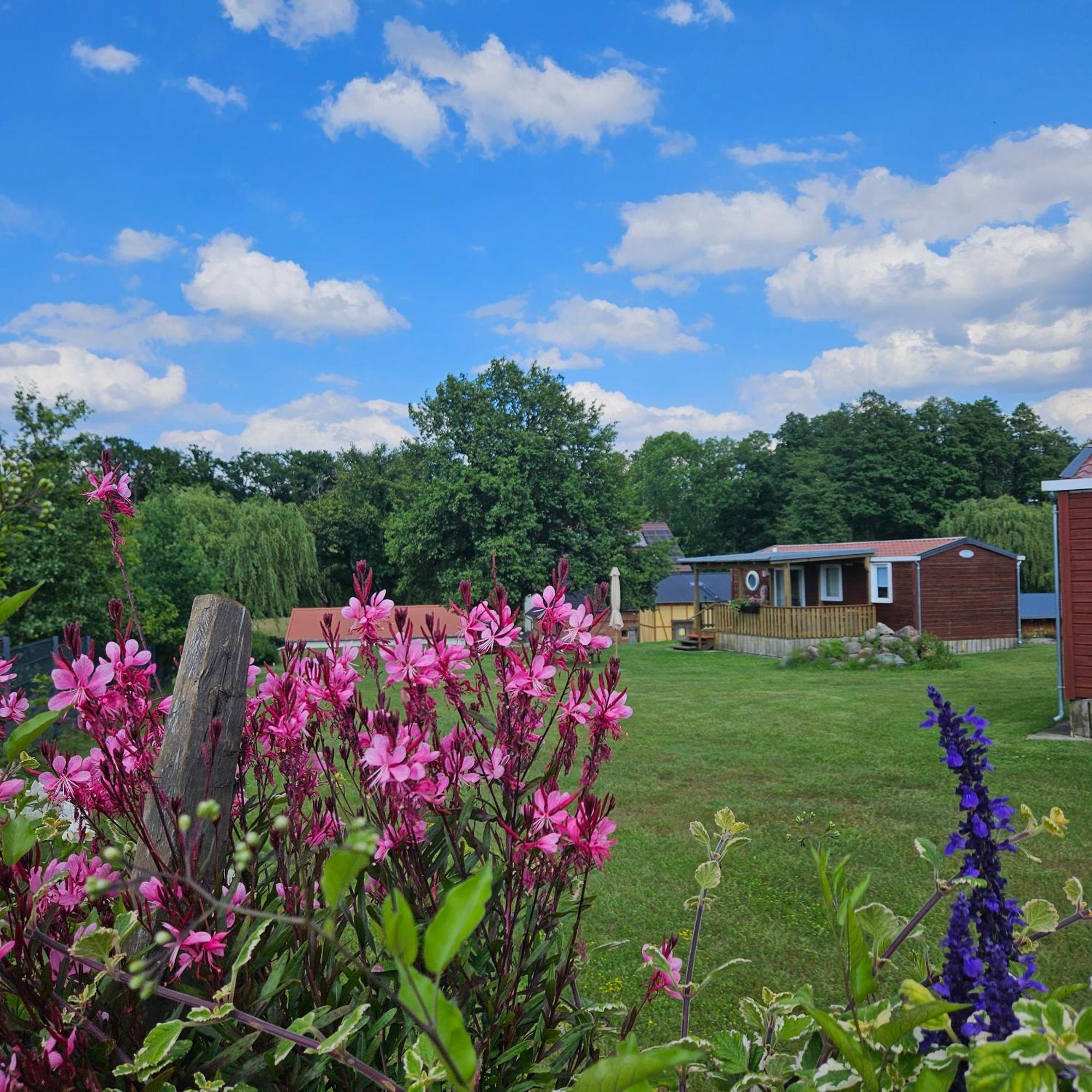 Campsite Landgut Voigtsmuehle Friedland (Brandenburg)