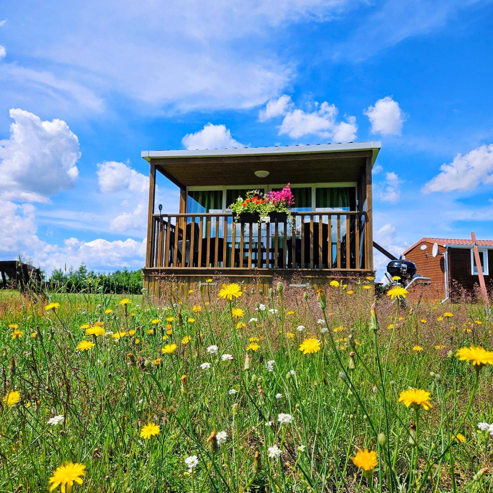 Landgut Voigtsmuehle Campsite Friedland (Brandenburg)