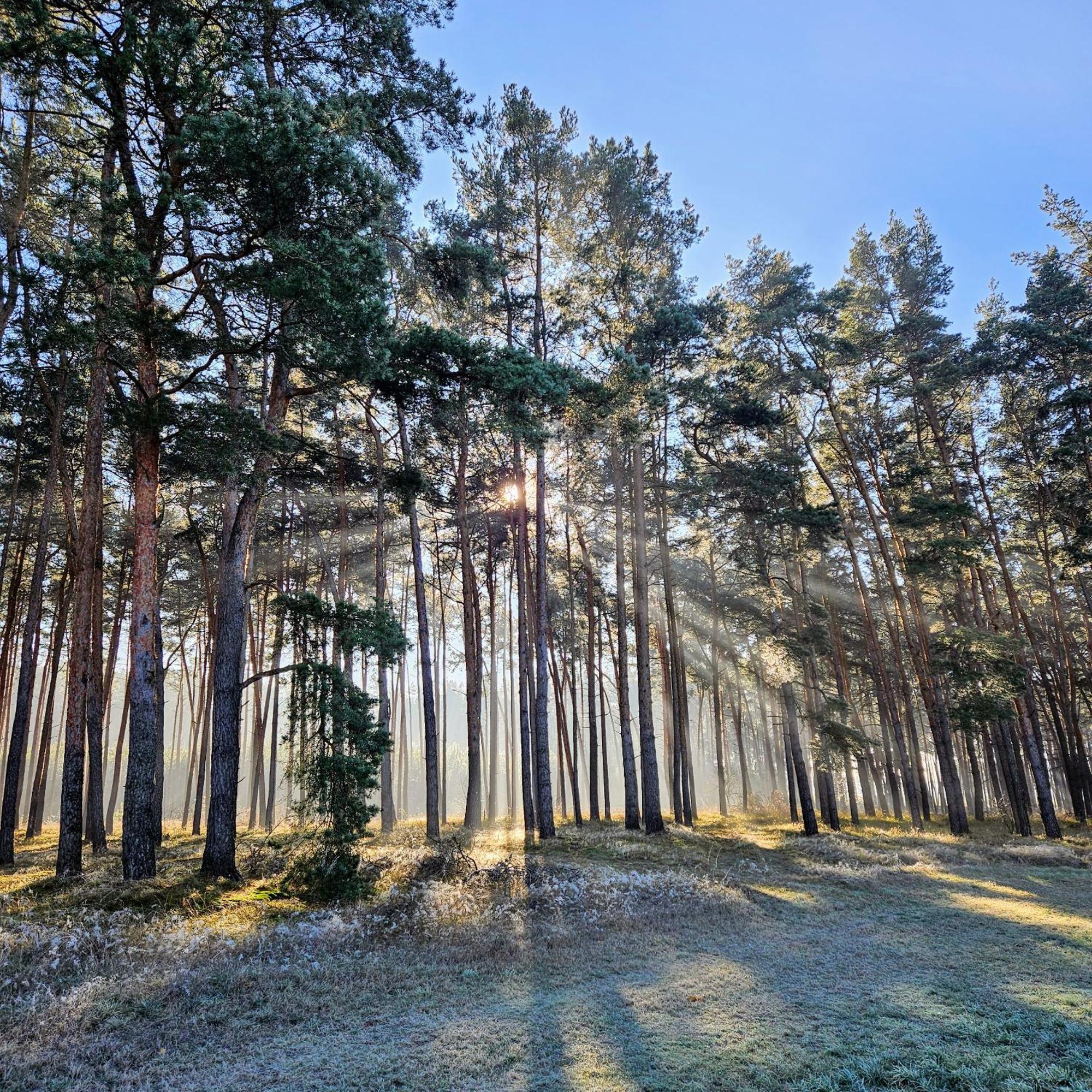Landgut Voigtsmuehle *